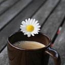 ���� �����, ���������, 45 ��� - ��������� 20 ���� 2026 � ������ ������ ��������