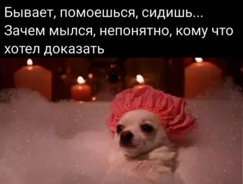  - 17  2025  16:32