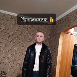 ���� ��������, �����������, 43 ���� - ��������� 10 ������ 2024