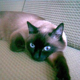 ���� Yustina, ������, 59 ��� - ��������� 24 ���� 2024