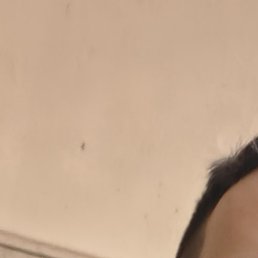 �����, �������, 28 ���