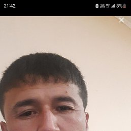 , 41, 