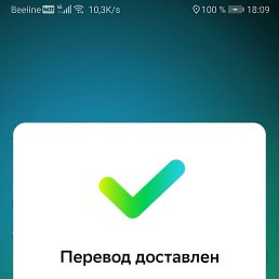 ���� ������� ����������, ����, 31 ��� - ��������� 20 ���� 2024