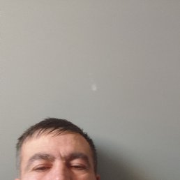 ���� ����, �����������, 40 ��� - ��������� 24 ����� 2026