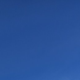 ����, �������, 41 ���