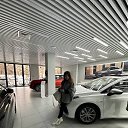 ���� ���� ����������, �����, 26 ��� - ��������� 25 ������ 2025 � ������ ���� ����������