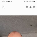 ���� ������, ������ ��������, 51 ��� - ��������� 13 ������ 2023 � ������ ���� ����������