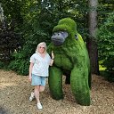 ���� �����, �����������, 54 ���� - ��������� 23 ���� 2026 � ������ ���� ����������