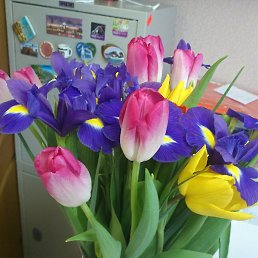 �������, ���������� �����