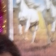 �����, 61 ���, ������������