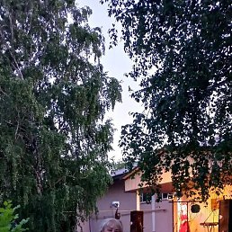 �����, ��������, 63 ����