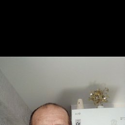 , 53, 
