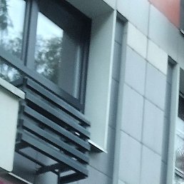 ��������, ��������, 56 ���