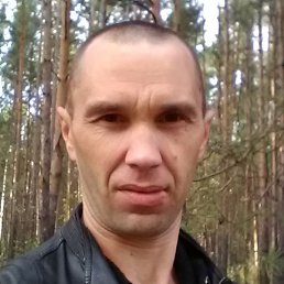 ������, ��������, 46 ���