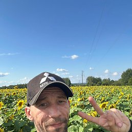 �������, ��������, 38 ���