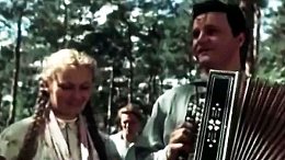Расцвела под окошком белоснежная вишня