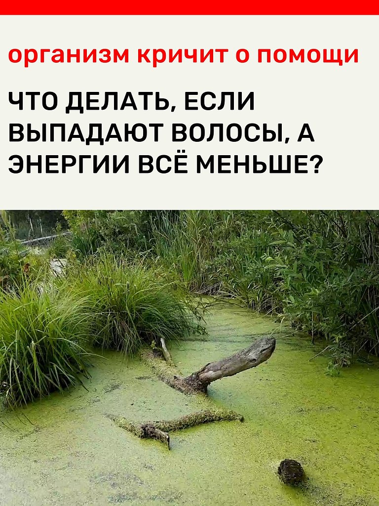 ���� ������� ����, � �� �������� �������� ����� ����� ����� ������������. ����������� ������, ...