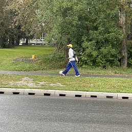 ������, 36 ���, ���������