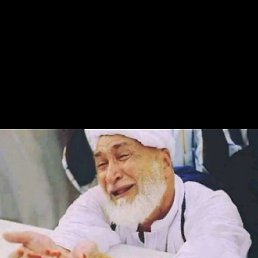 ������� ���� �����, ����, 22 ����