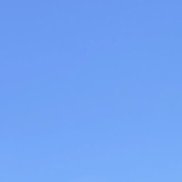 �������, 28 ���, �������������