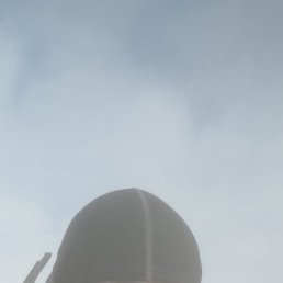 , , 55 