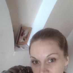 ���� ����, �����������, 43 ���� - ��������� 20 �������� 2026