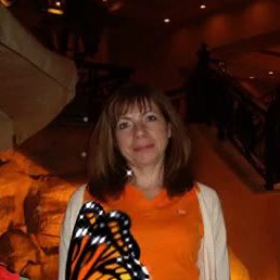 �������, ���������, 56 ���