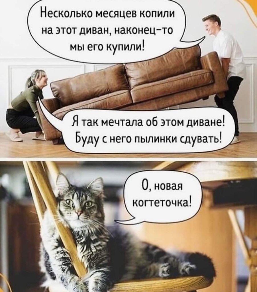   - 26  2024  10:03