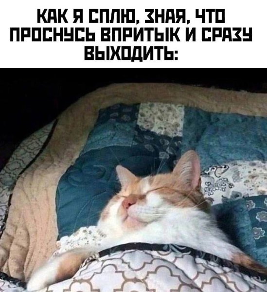  - 30  2025  00:22