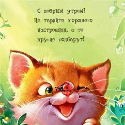 , , 46 