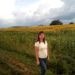 ����, ����, 41 ���