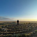 ���� ������, �������, 61 ��� - ��������� 25 ������� 2024