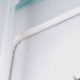 �����, ����, 38 ���