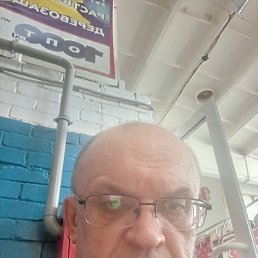 , 54, 