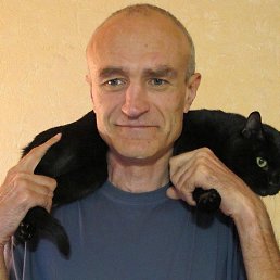 ����, 61 ���, ����������