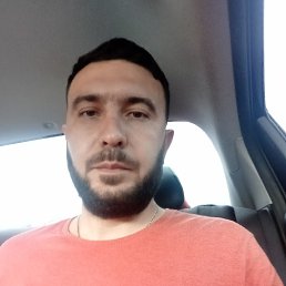 �����, 41 ���, ���