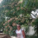 ���� �������, ������ �������� - ��������� 16 ������ 2025 � ������ ���� ����������