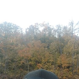 ���, 48 ���, ������