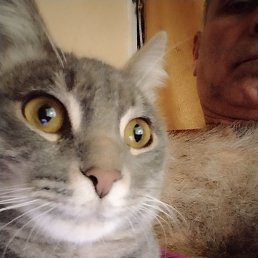 ���� Roma, ������, 65 ��� - ��������� 15 ������ 2023