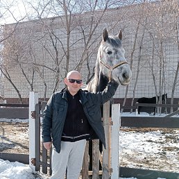 �����, 45 ���, �����������