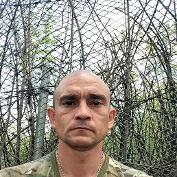 , 37, 