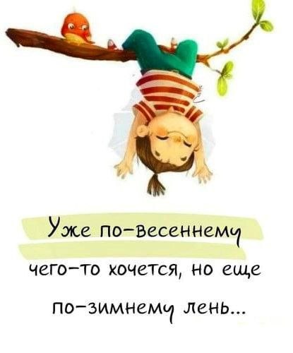 ��� ���� - 7 ����� 2026 � 21:10