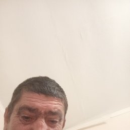 ����, 48 ���, �������