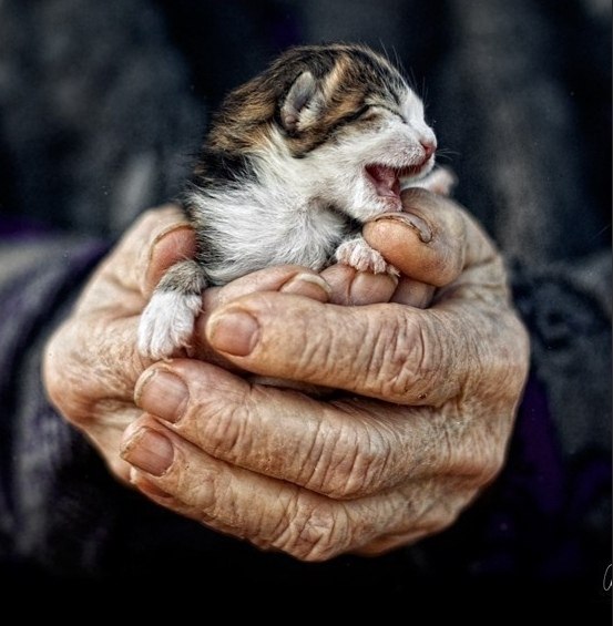 � ������� ���� ���� � ���� ����. � �������� ����� ������� � ������ - ��������� ����� �� �������... - 4