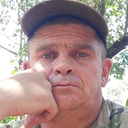 ������, ������, 44 ����