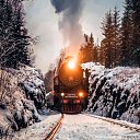 ���� ������, ��������, 87 ��� - ��������� 11 ������ 2024 � ������ ���� ����������