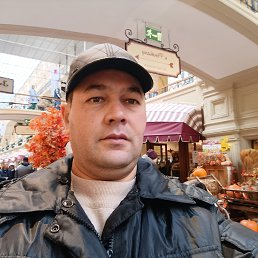 , 37, 
