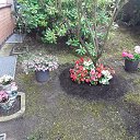 ���� ����, �������, 46 ��� - ��������� 20 ���� 2026 � ������ ������ ���