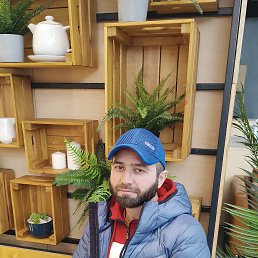 , 37, 