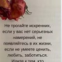 ���� �����, ������ - ��������� 7 ����� 2026 � ������ ������ ��������